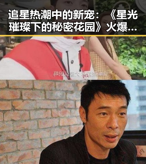 追星热潮中的新宠：《星光璀璨下的秘密花园》火爆上线！