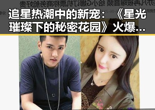 追星热潮中的新宠：《星光璀璨下的秘密花园》火爆上线！