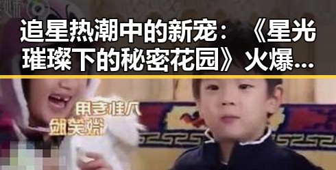 追星热潮中的新宠：《星光璀璨下的秘密花园》火爆上线！