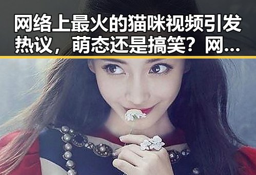 网络上最火的猫咪视频引发热议，萌态还是搞笑？网友纷纷表达看法🧐