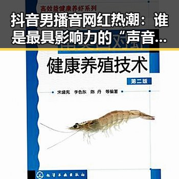 抖音男播音网红热潮：谁是最具影响力的“声音杀手”？