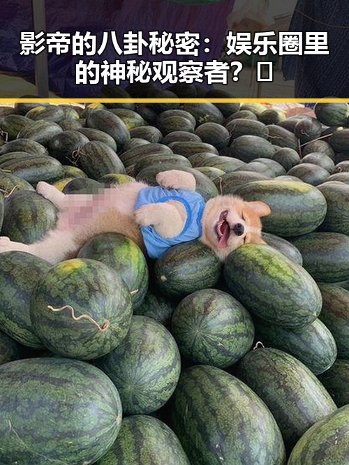 影帝的八卦秘密:娱乐圈里的神秘观察者?🤫